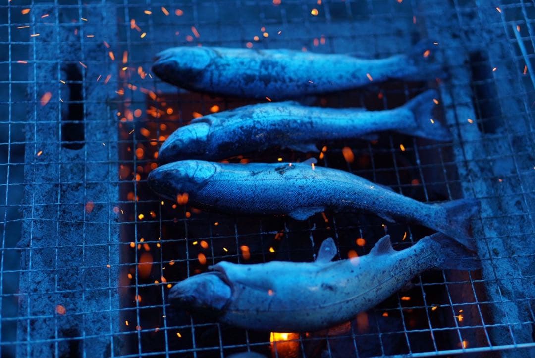 専用出品ショット数 4732 SONY a6400+SEL50F18+オマケ - メルカリ