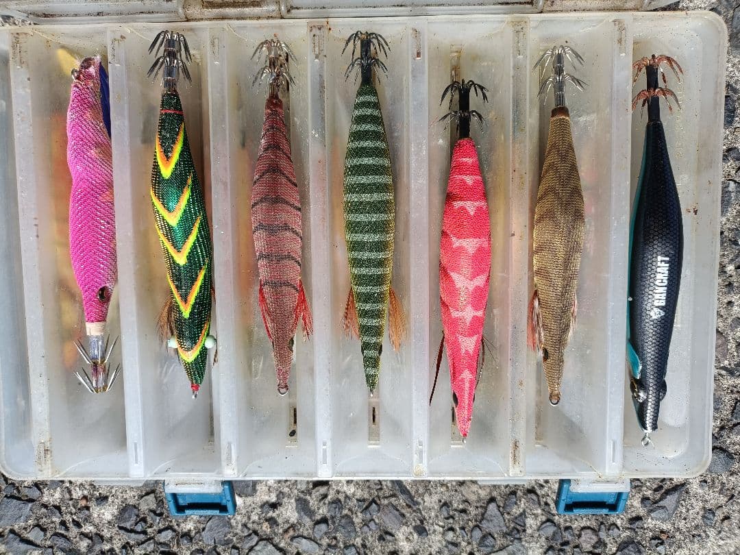 餌木 セット14本 - メルカリ