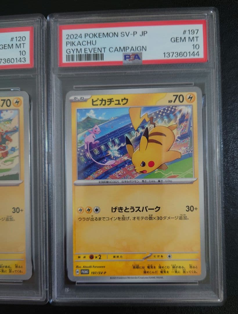 PSA10連番】ピカチュウプロモ げきとうスパーク2023&2024