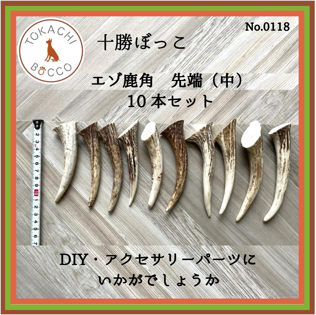 エゾ鹿角 先端（中）10本セット No.0118 - メルカリ