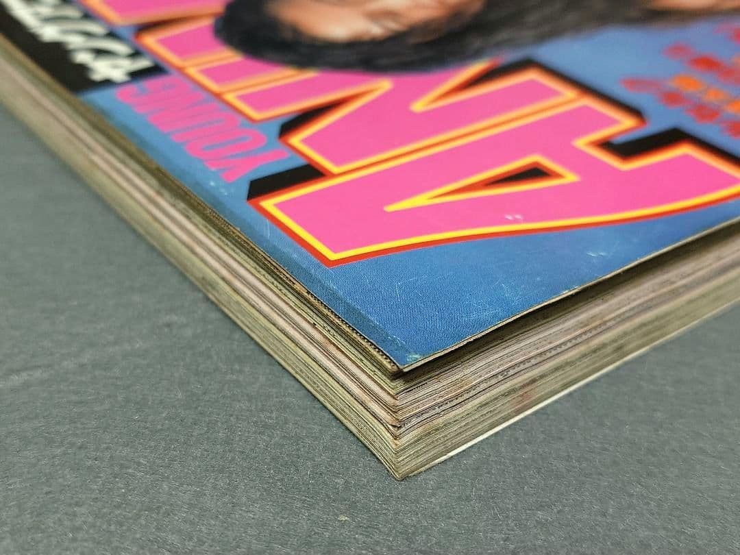 ヤングアニマル1995年4号/ベルセルク第52話/橋本典子表紙&水着グラビア