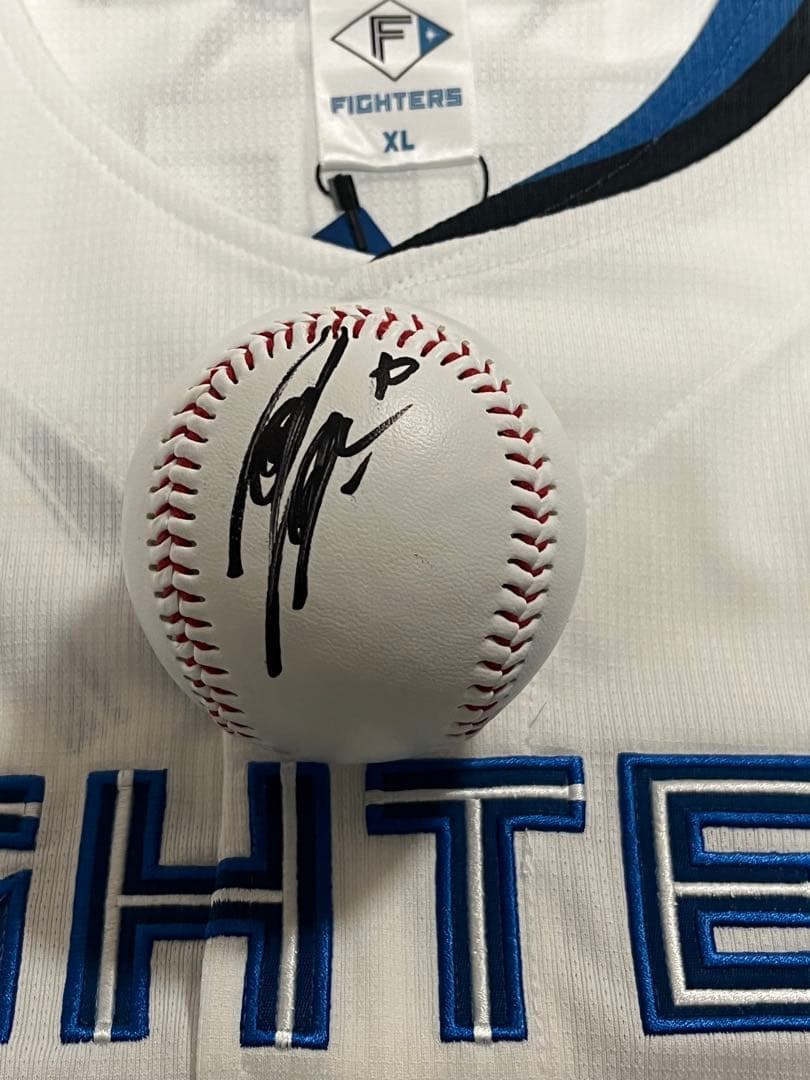 日本ハムファイターズ 達孝太 直筆サインボール 2026 沖縄キャンプ球