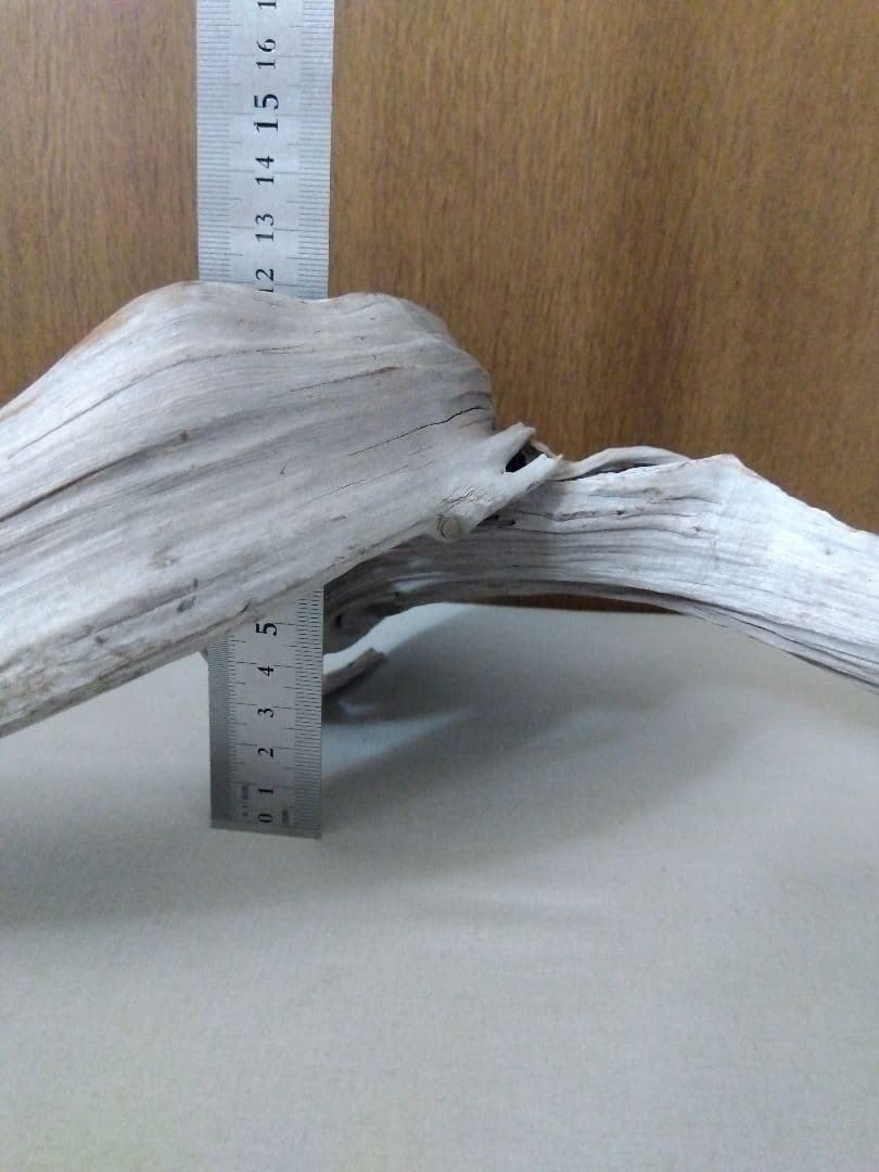 ☆大幅値下げしました☆真柏の枯れ木(カレボク) 盆栽の枯れ木④ 神
