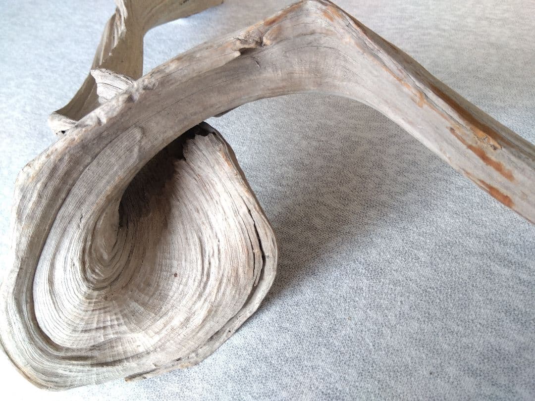 ☆大幅値下げしました☆真柏の枯れ木(カレボク) 盆栽の枯れ木④ 神