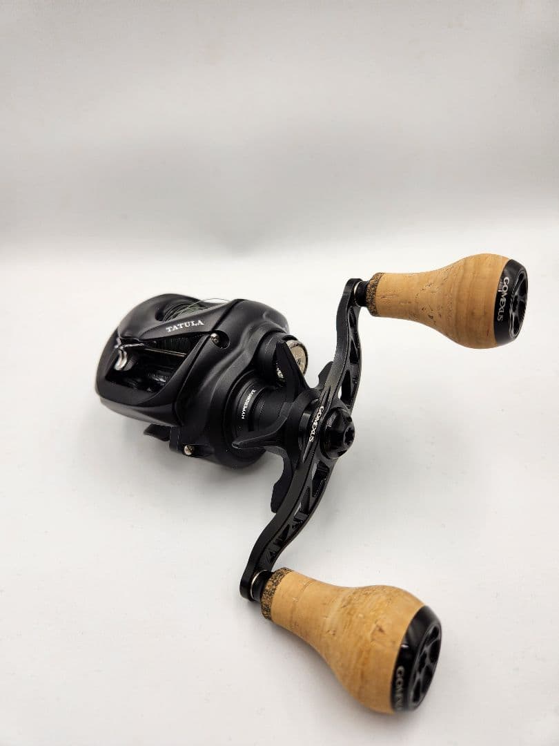 ダイワ 24タトゥーラTW100XH カスタム品L - メルカリ