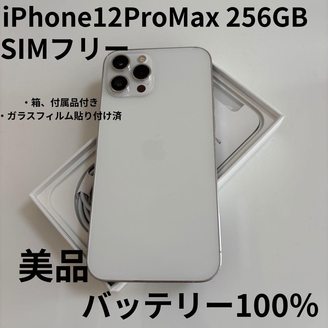 【美品】iPhone 12 Pro Max 本体 256GB SIMフリー Apple iPhone 12 Pro Max 256GB パシフィックブルー SIMフリー iPhone