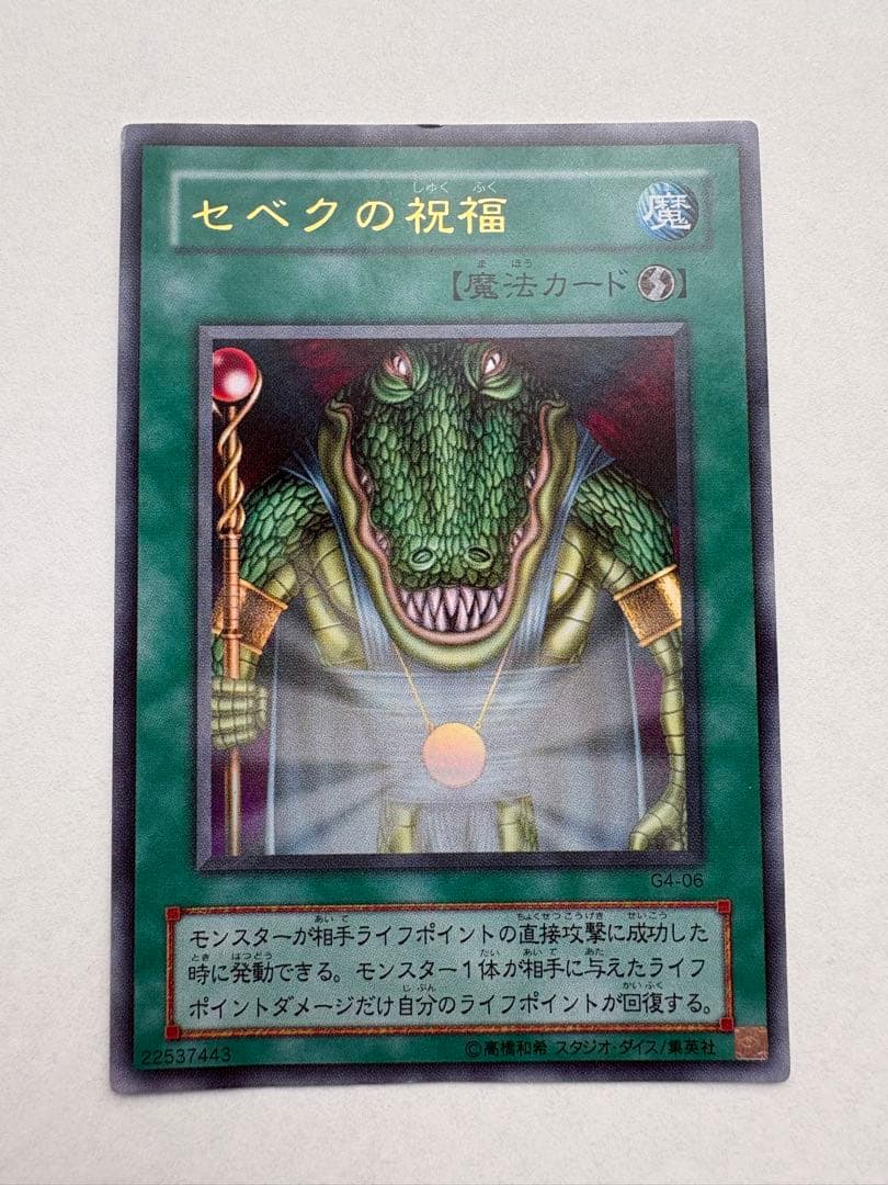 セベクの祝福 魔法カード - メルカリ