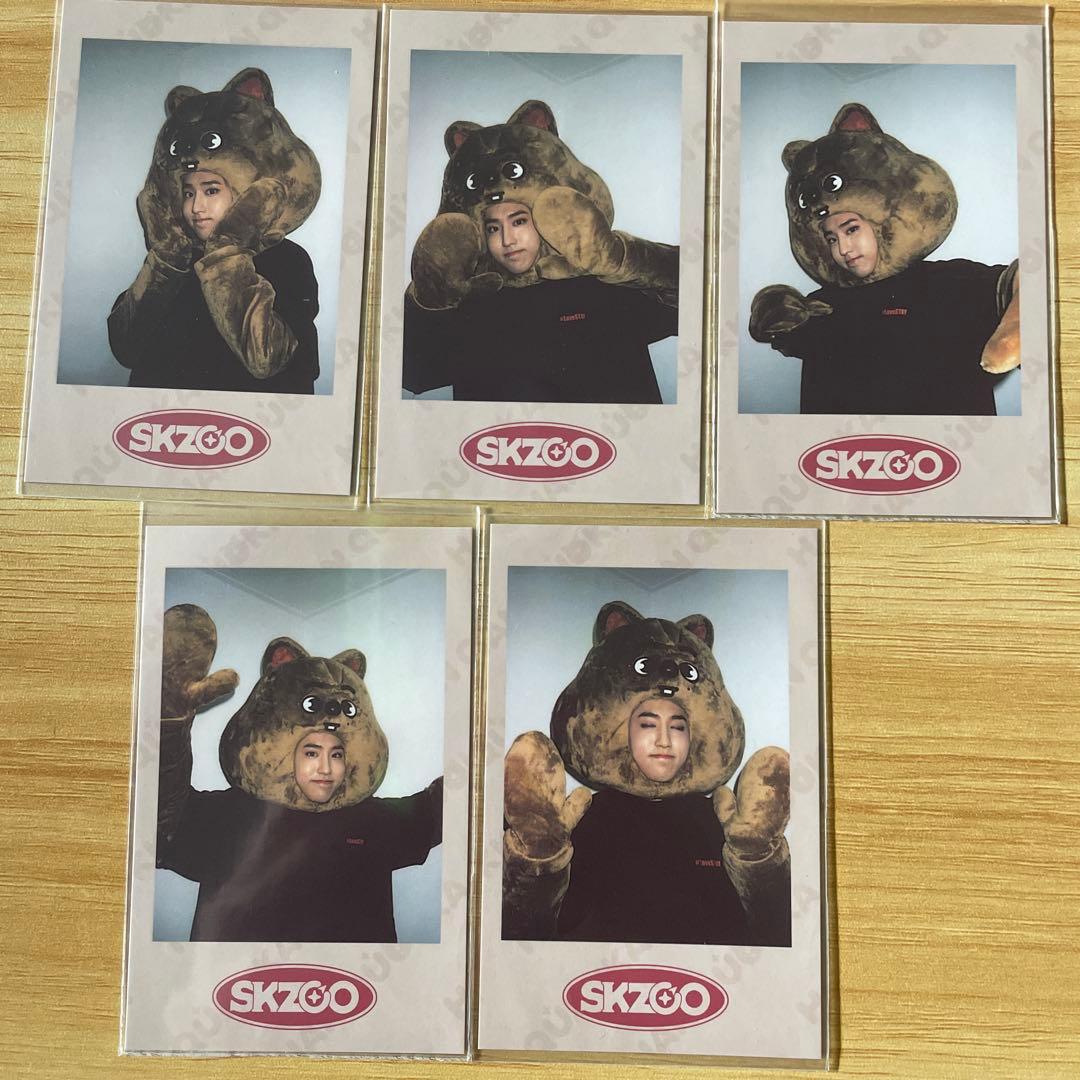 Stray Kids スキズ SKZ-X SKZOO ペンミ ポラ ハン コンプ - メルカリ