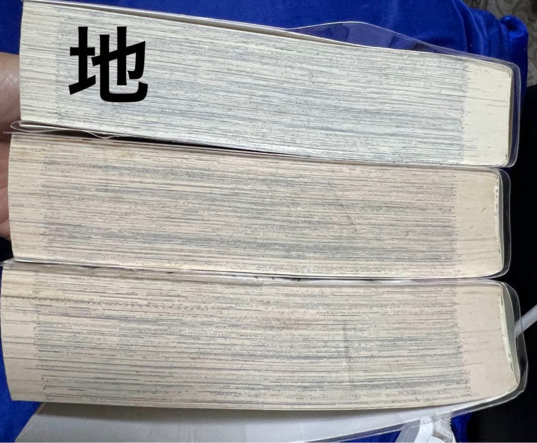 双葉社】極道一半庶民・ブルースの錠・全3巻 / ジョージ秋山 - メルカリ