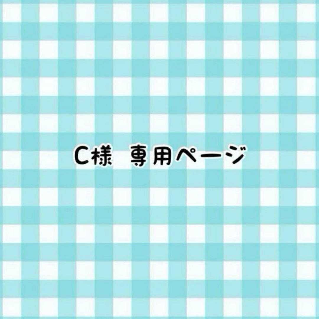 Cページ ZX C-PL | ケンコー・トキナー