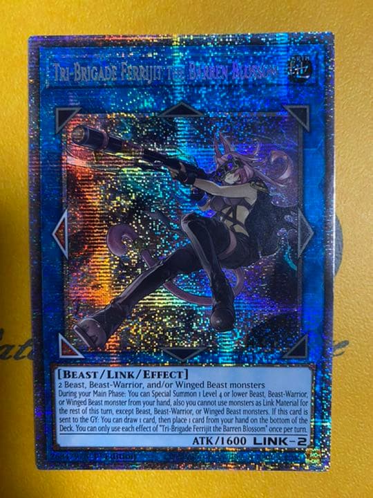 遊戯王 鉄獣戦線 徒花のフェリジット スターライトレア 美品 鉄獣戦線 徒花のフェリジット 価格相場(値段)・最安値(遊戯王