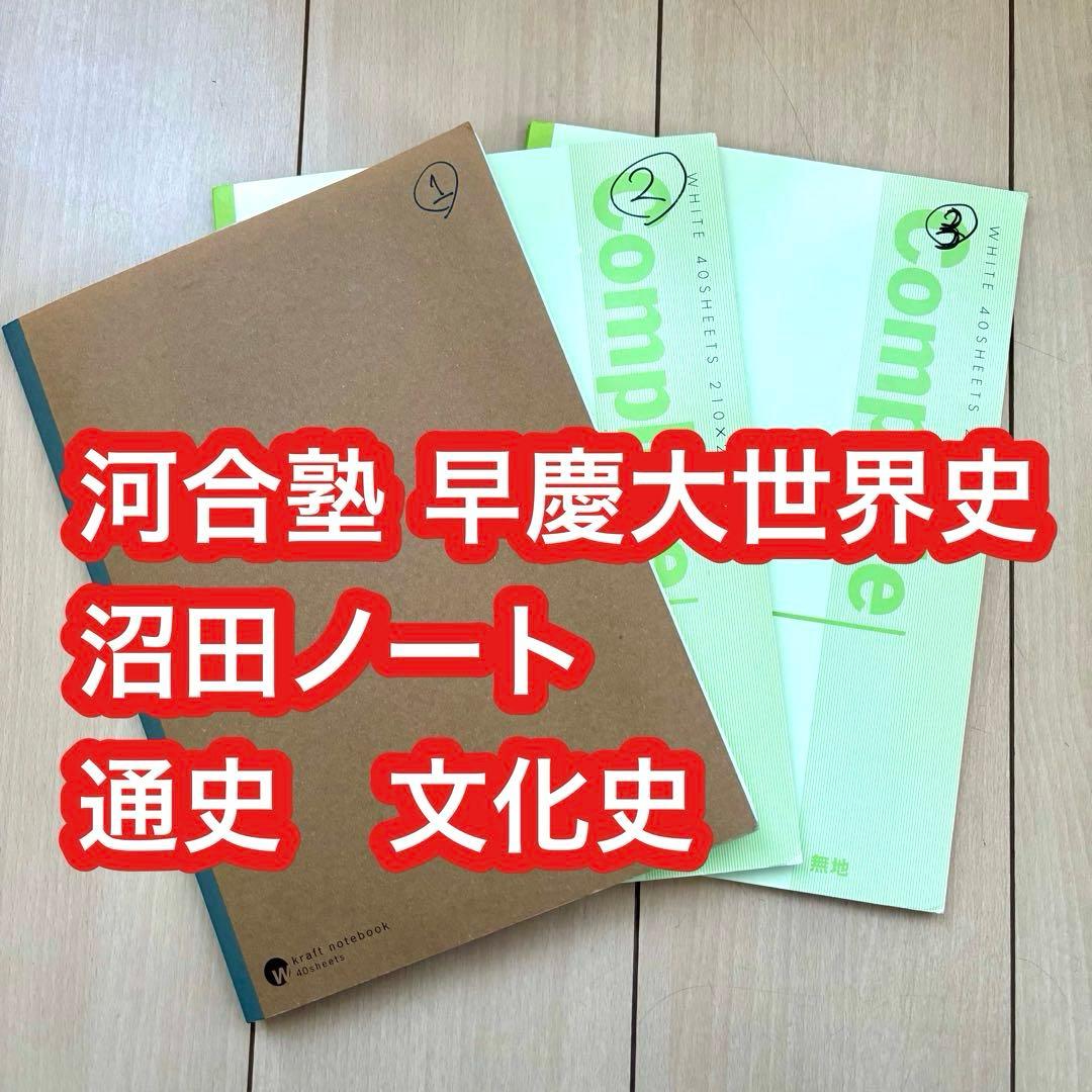 河合塾 早慶大世界史 沼田ノート 通史 文化史 沼田英之先生 - メルカリ