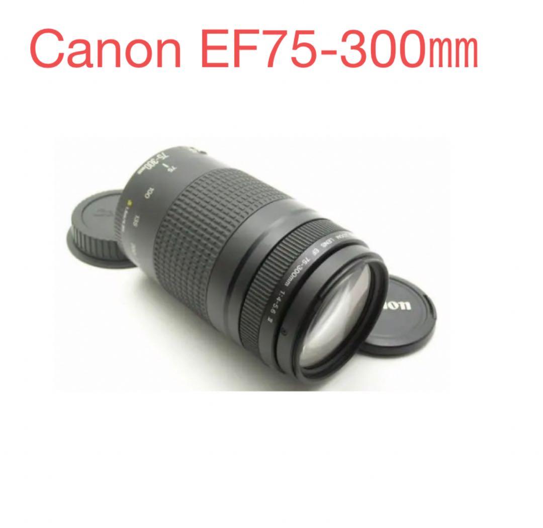 キヤノン/大迫力の300㎜/大望遠レンズ/Canon EF75-300 II EF75-300mm F4-5.6 II USM - キヤノンカメラミュージアム