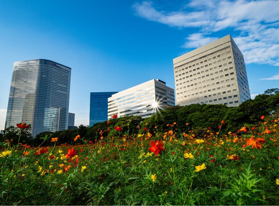 LEICA ライカ 8-18 F2.8-4.0 広角ズーム LUMIX G