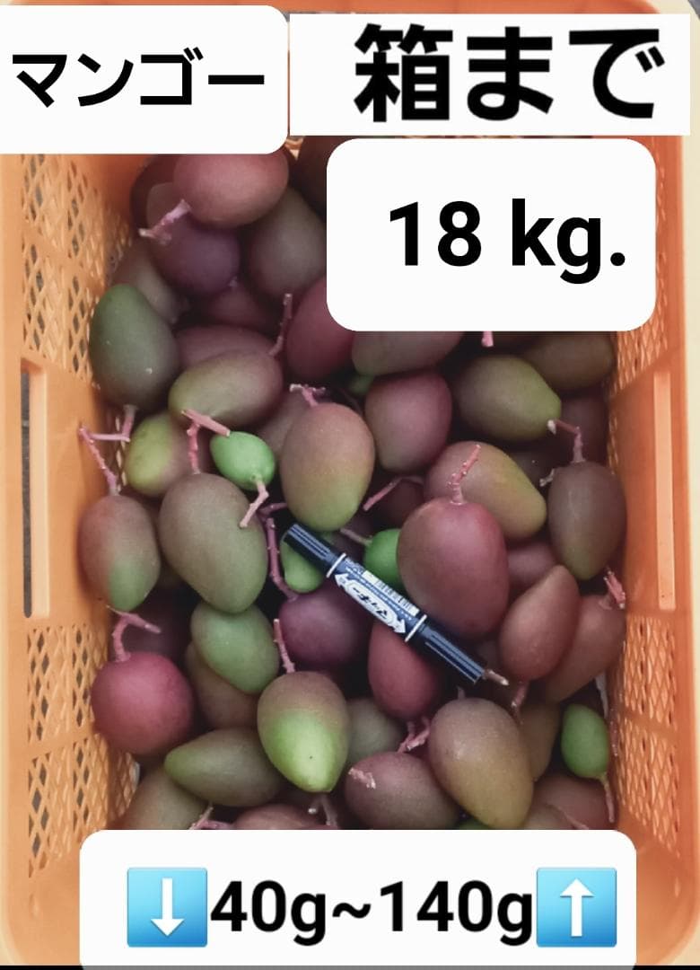 マンゴー+摘果 / 18 kg including box 極】（2玉）樹齢25年以上の木からなる糖度約17～18度の完熟マンゴー