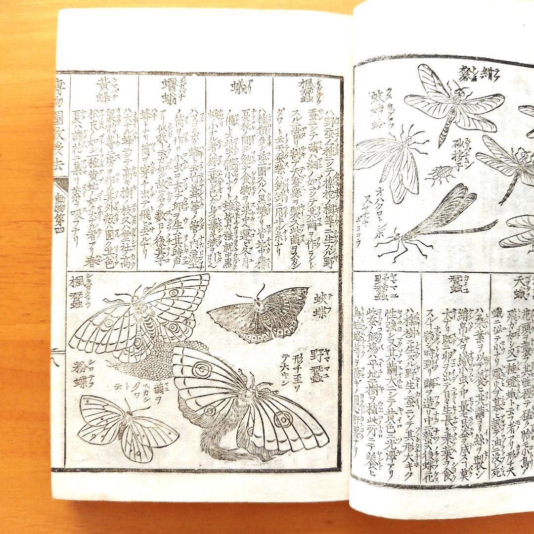 稀少【文部省編纂 博物図教授法 全】明治16年 - メルカリ