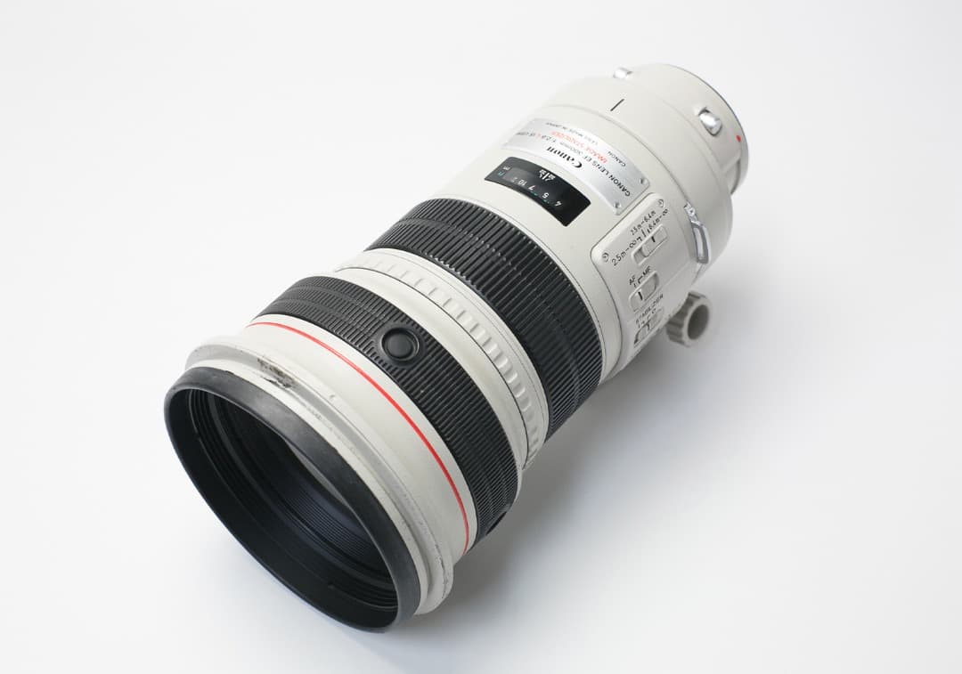 憧れのサンニッパ☆EF300mm F2.8L IS USM 大谷翔平撮影レンズ