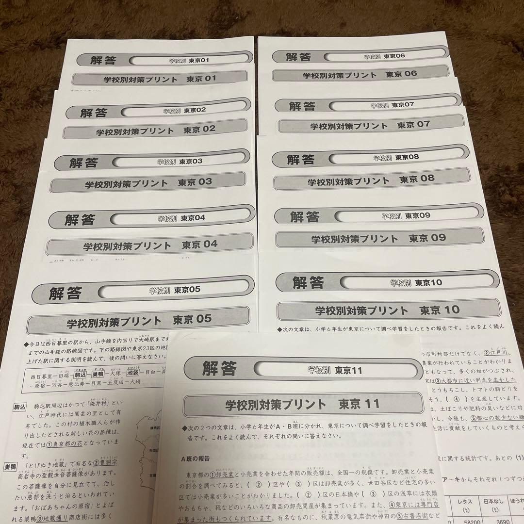 最新 SAPIX 6年社会 開成筑駒コース対策 東京問題 原本 欠番なし