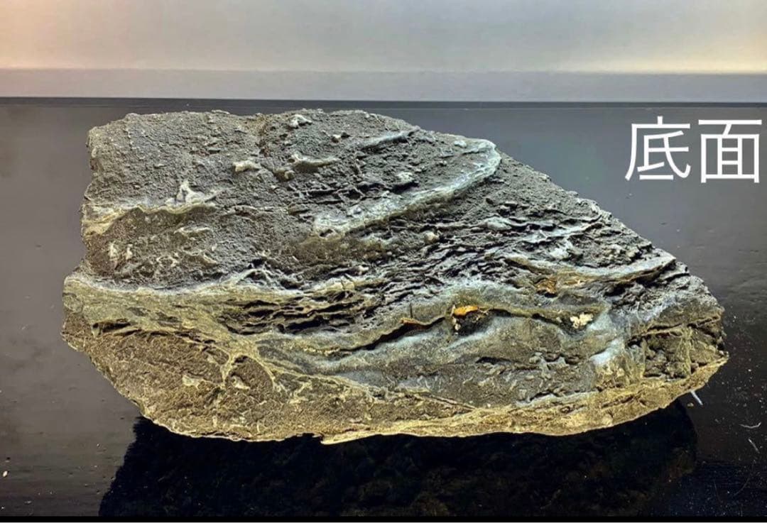 4211 粕川石 ウブ 横25×高10(cm) 4.64kg