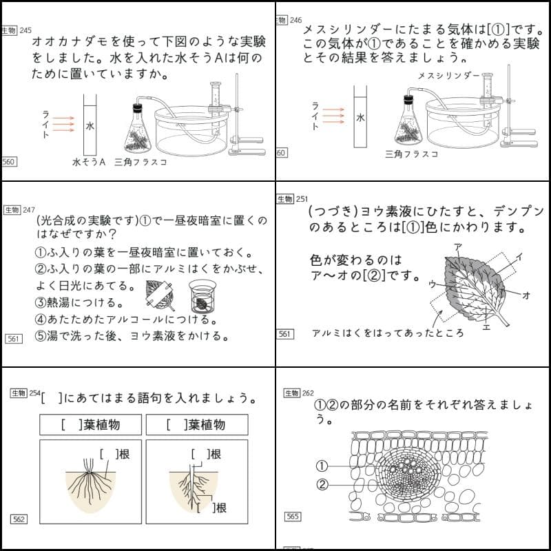 中学受験 暗記カード 理科 生物 サピックス 予習シリーズ コアプラス