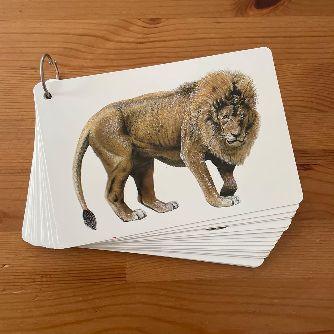 ☆araiguma☆様 リクエスト 2点 まとめ商品 - メルカリ