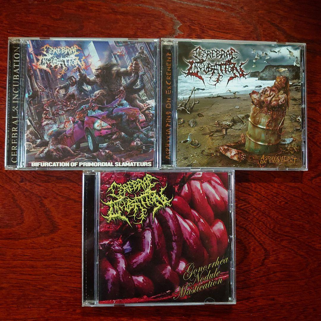 ブルデス スラミング Cerebral Incubation 3枚セット ブルデス スラミング Cerebral Incubation 3枚セット - メルカリ