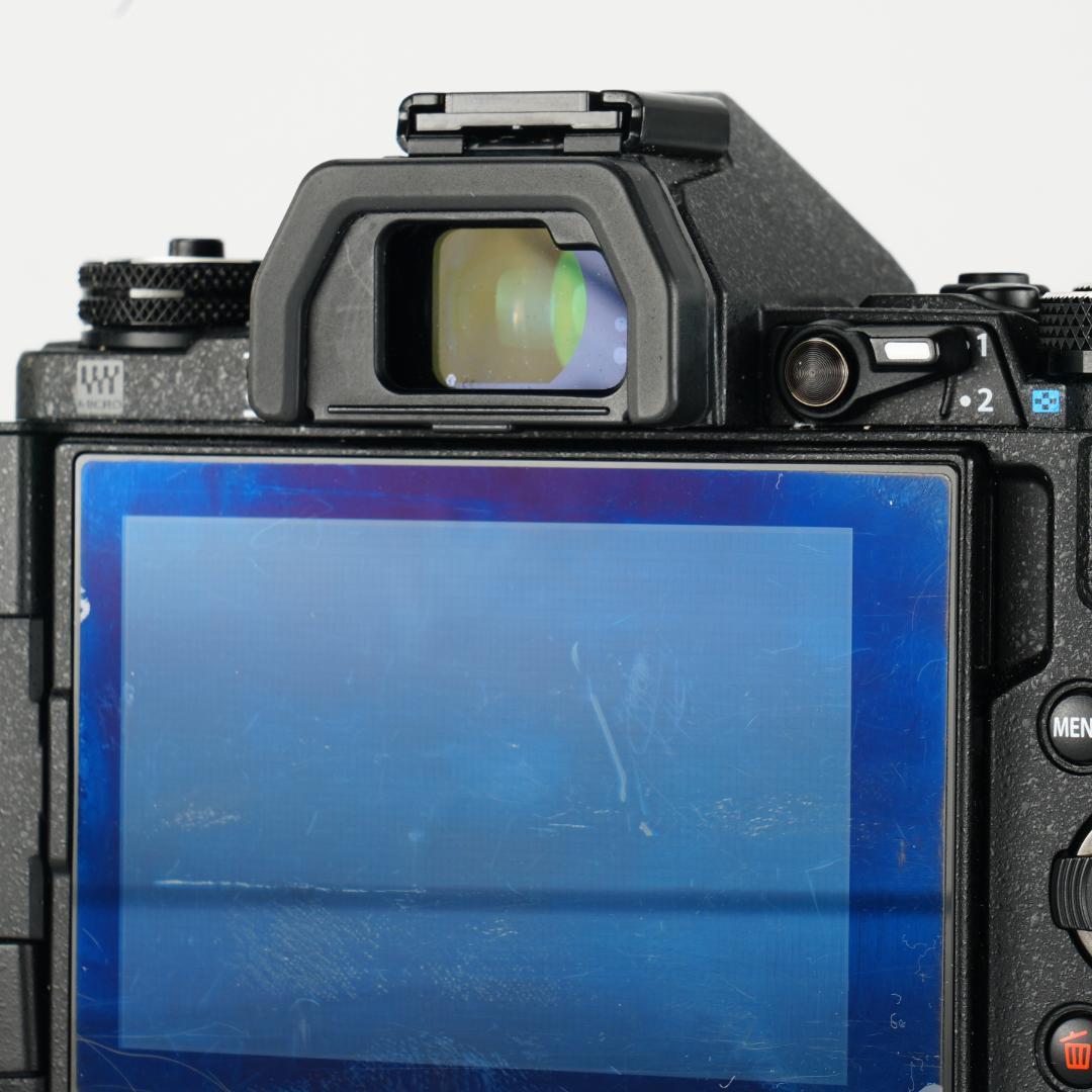 雨でも撮れる。防塵防滴OM-D E-M5 Ⅱ 12-40mm F2.8 Pro