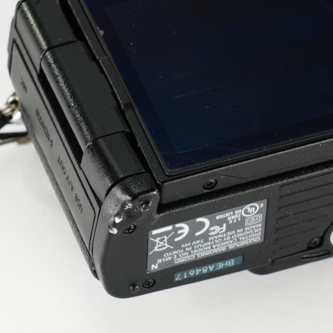 雨でも撮れる。防塵防滴OM-D E-M5 Ⅱ 12-40mm F2.8 Pro