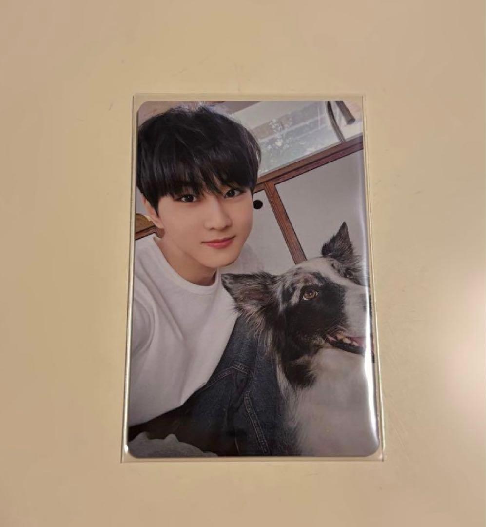 ENHYPEN 2025 アンケート 特典 FCトレカ ジョンウォン - メルカリ