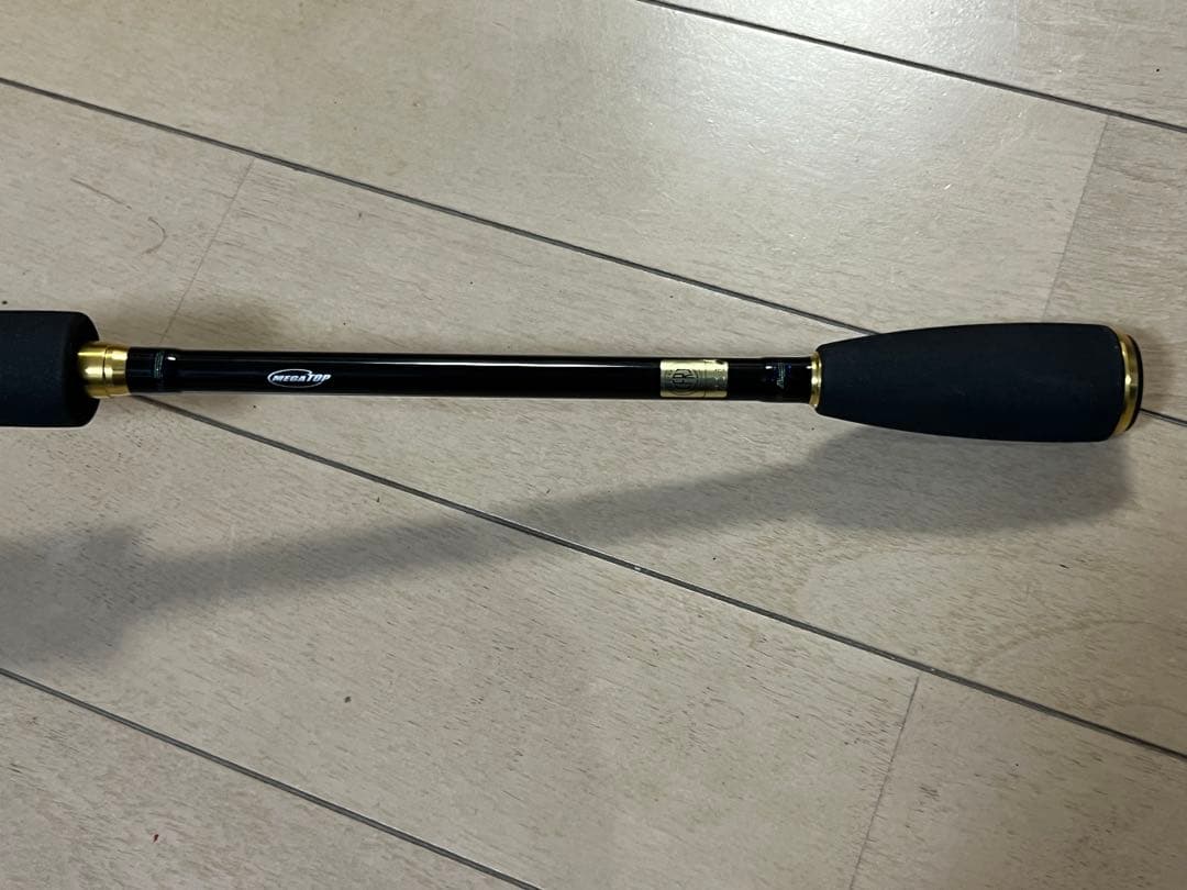 ダイワDAIWA チニングロッドSALTISTソルティストAGS CN79LML - メルカリ