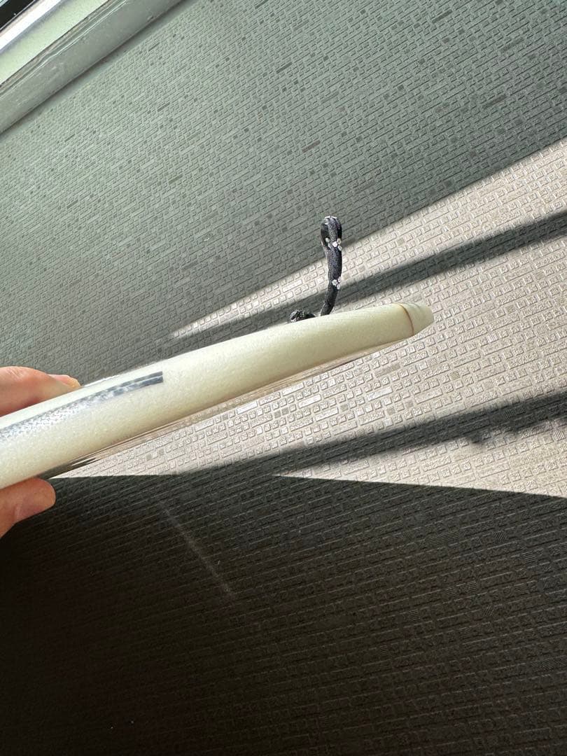 美品】スパムホエール5'7 5プラグ【希少】