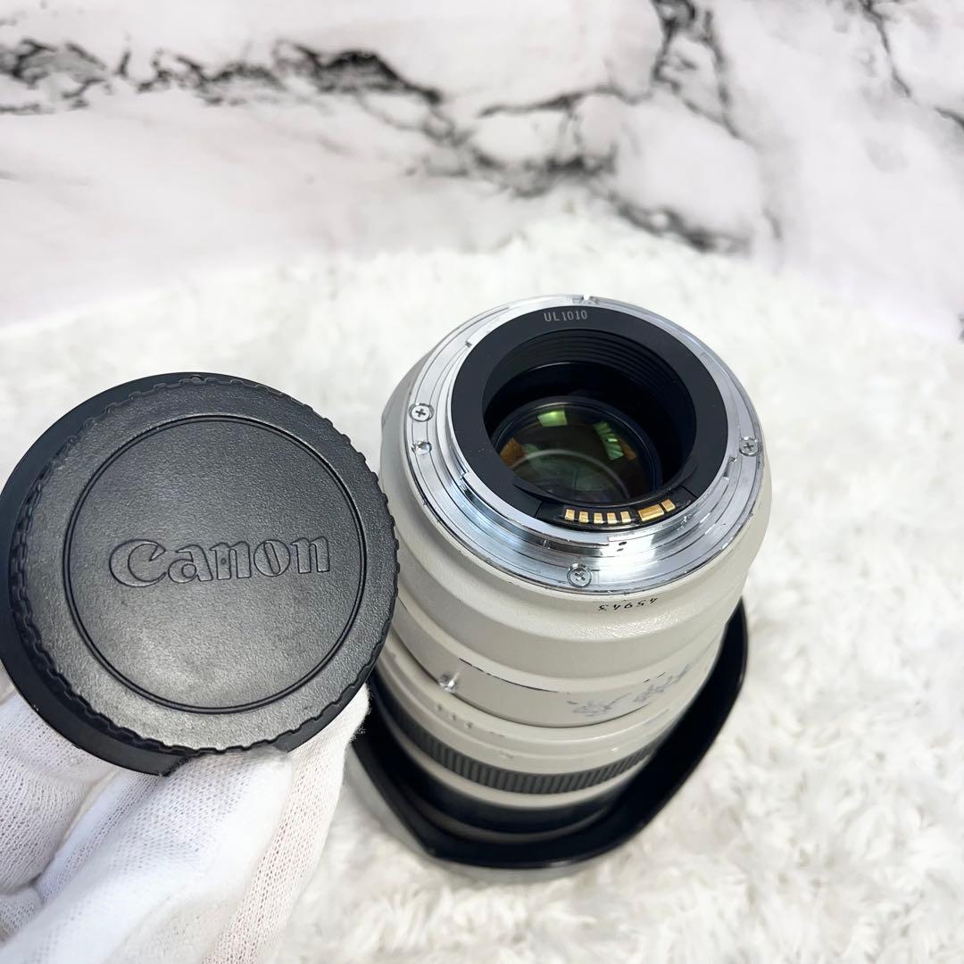 canon キャノン EF35-350mm F3.5-5.6 L USM