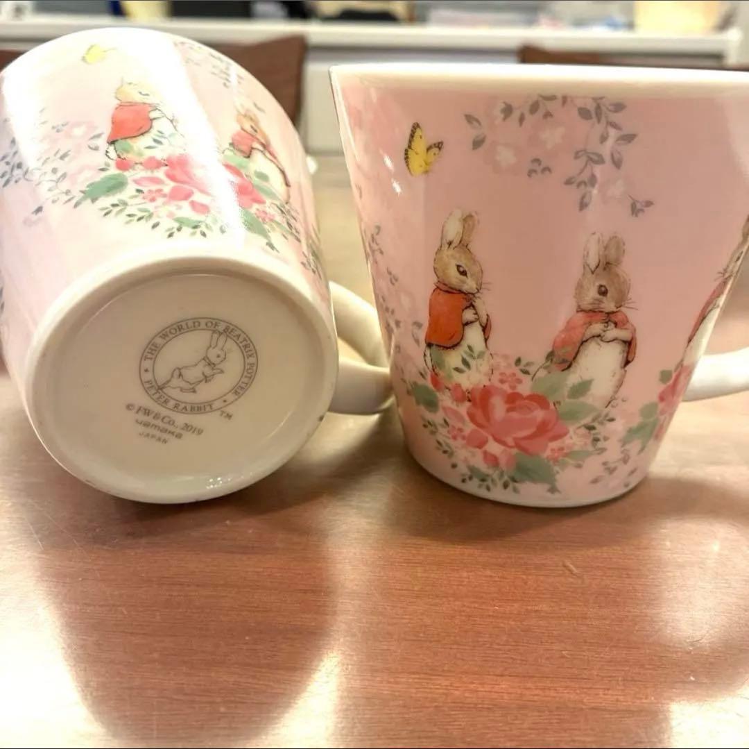 新品 未使用 ピーターラビット 陶器製 カレーパスタ皿 サラダボウル