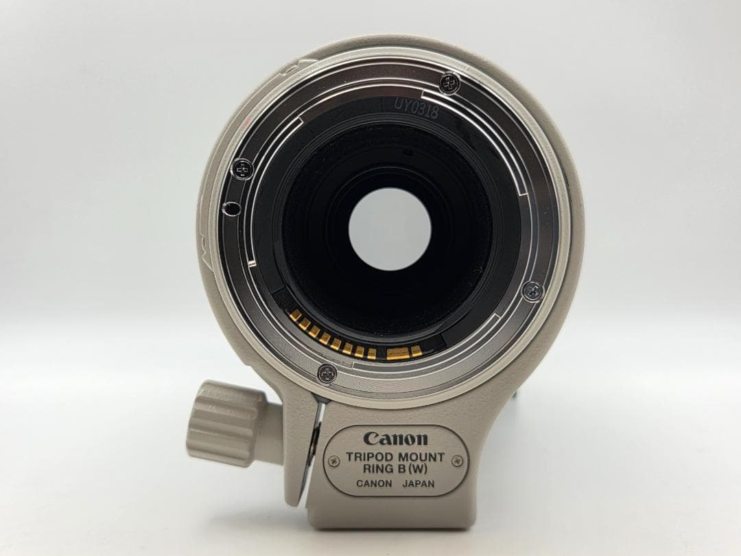 レンズ(ズーム) Canon EF 100-400mm F4.5-5.6 L IS USM