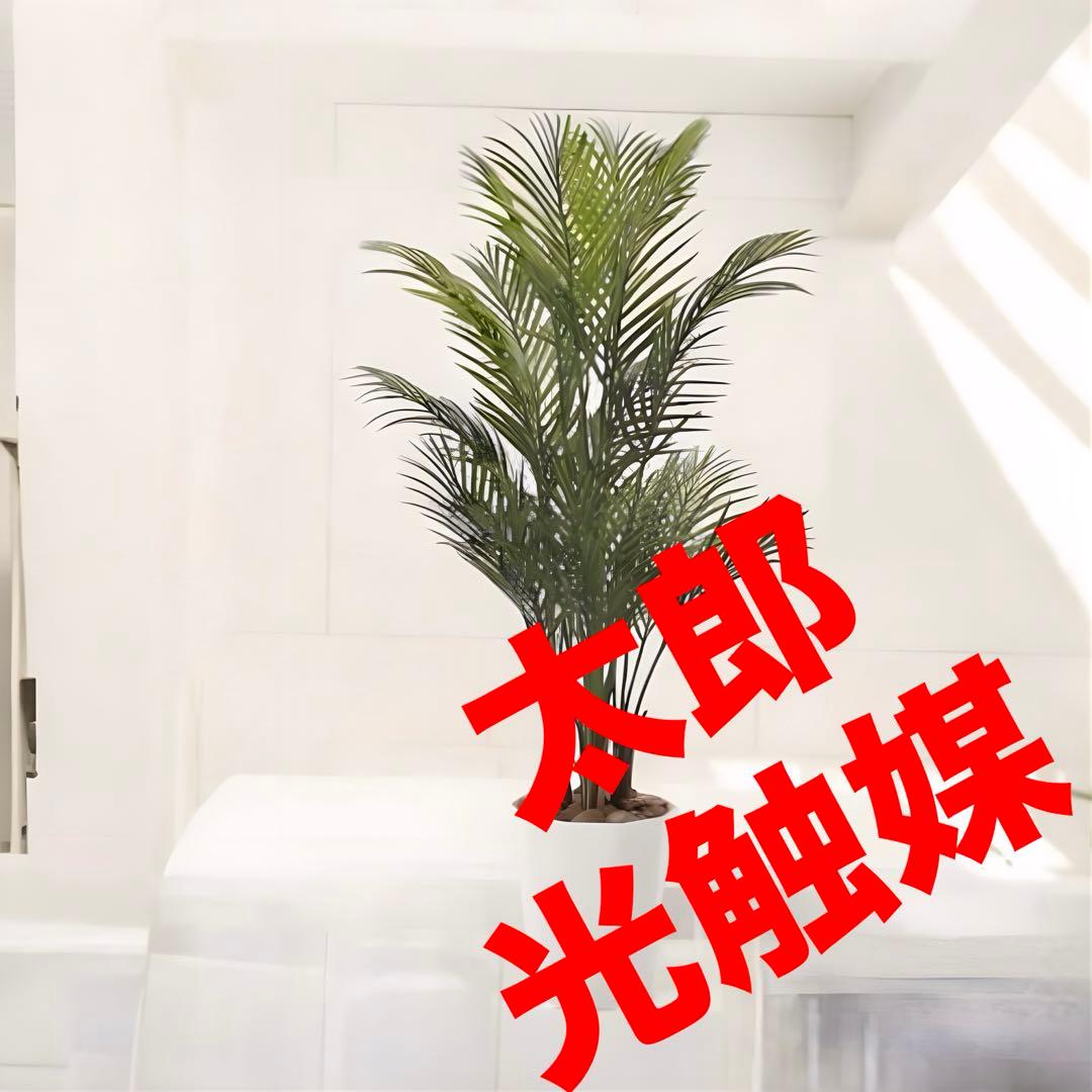 光触媒　人工観葉植物　ウォールグリーン　フェイクグリーン　アレカパーム1.35 光触媒 人工観葉植物 ウォールグリーン フェイクグリーン アレカヤシと