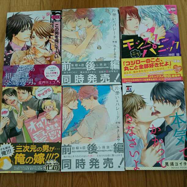 ＢＬコミックー２４冊