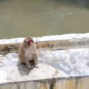 酸素発生器 GENKI TECHNO OZ-1-11TMO - メルカリ