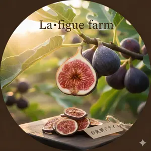 イチジク 穂木 選べるセット La・figue farm - メルカリ