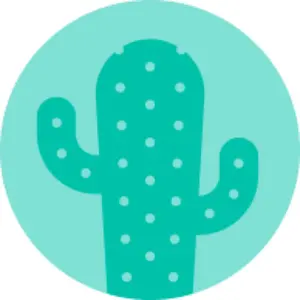 魔法少女ザ・デュエル アナーキー・ストッキング アナーキー・パンティ