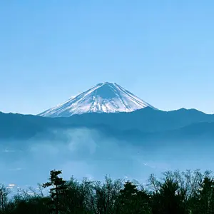 キャロウェイ XHOT 8.5 PRO ドライバー TCシリアル 支給品 ヘッド