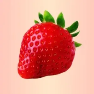 リンカーン DVD 30本 + 芸人大運動会3本 33本セット - メルカリ