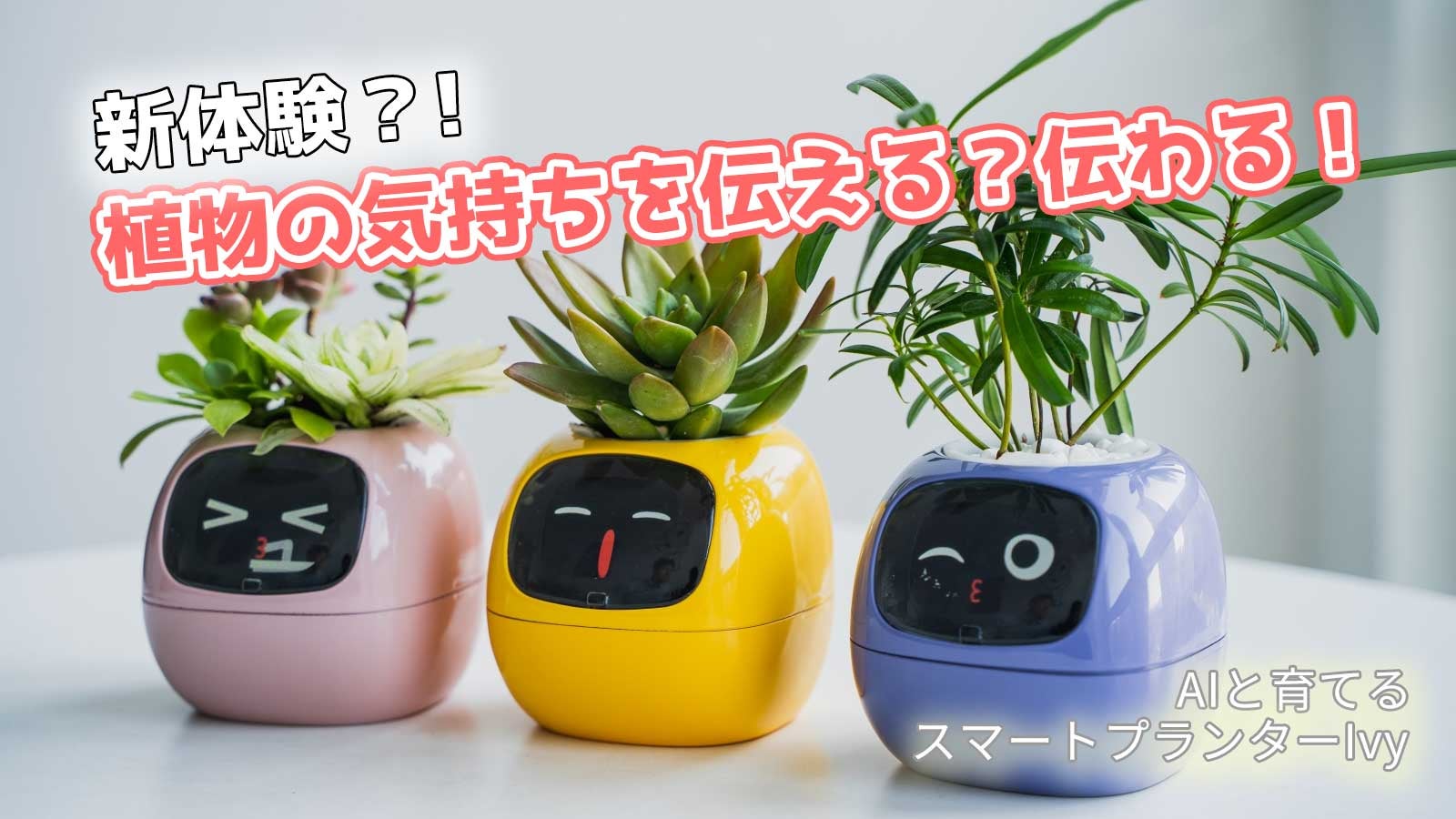 まるでペットみたい！？に植物を育成！植物の気持ちが見れるAI