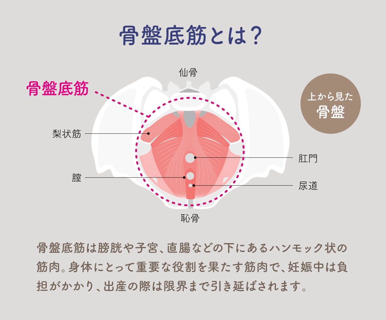 産後ママへ】三日月クッションで骨盤底筋エクササイズ！快適な子育て