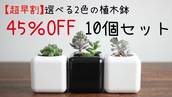 特許取得】根腐れ防止！多肉植物専用の室内用植木鉢｜マクアケ