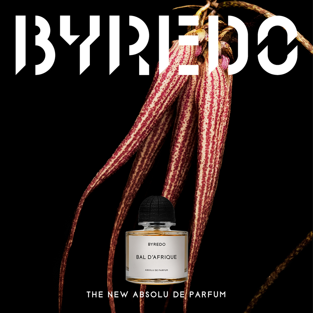 BYREDO ABSOLU COLLECTION - New Arrival | トゥモローランド 公式通販