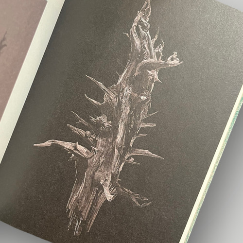 Savoir & Faire 木 | KOSHOMARIKADO