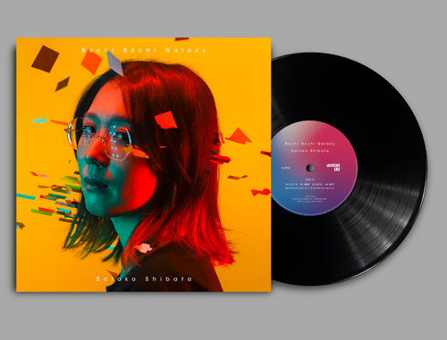 柴田聡子 / ぼちぼち銀河 [LP] DDJB-91226 | Tuff Beats