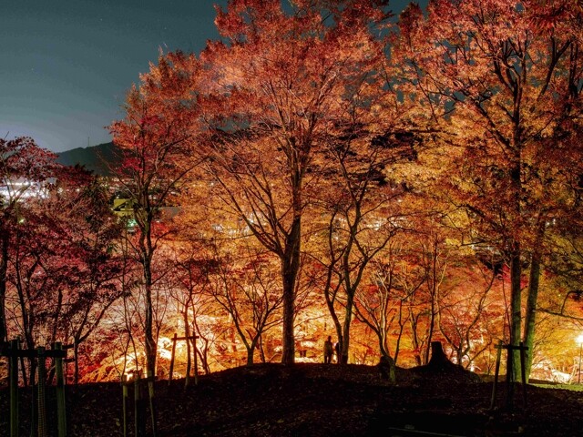 最上山公園もみじ山の紅葉見頃・天気情報 2025 - 日本気象協会 tenki.jp