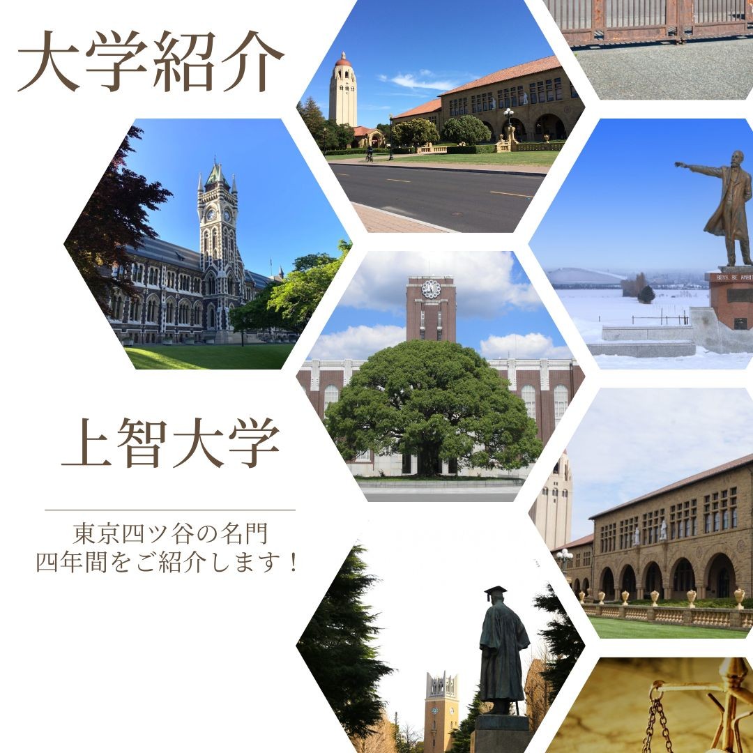 小岩 京成小岩 新小岩 江戸川 予備校 塾 高2 早稲田 慶應 上智 東京