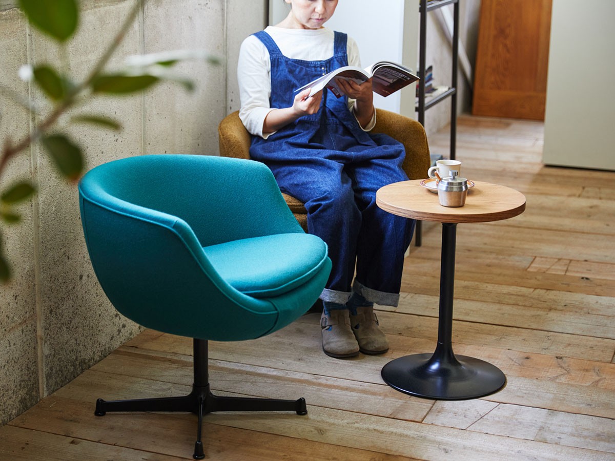 SWITCH Forge Lounge Chair / スウィッチ フォージ ラウンジチェア